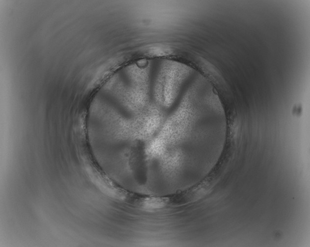 X0000112030373200908241544