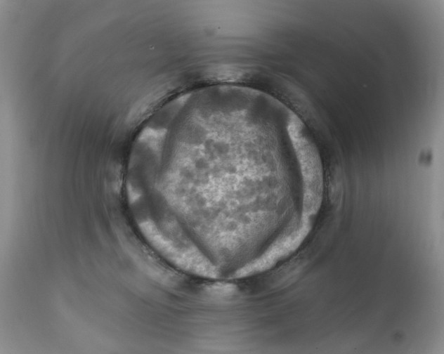 X0000112030374200908241544