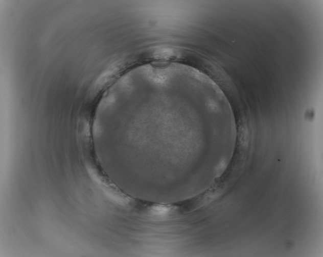 X0000112030375200908241544