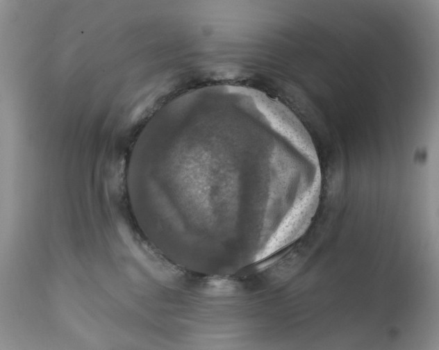 X0000112030376200908241544