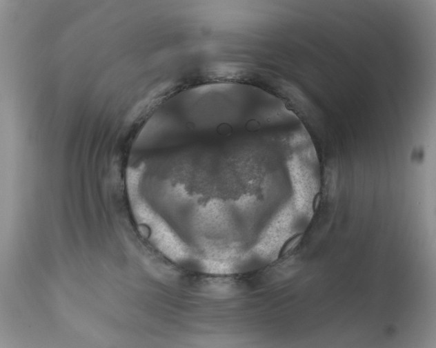 X0000112030377200908241544