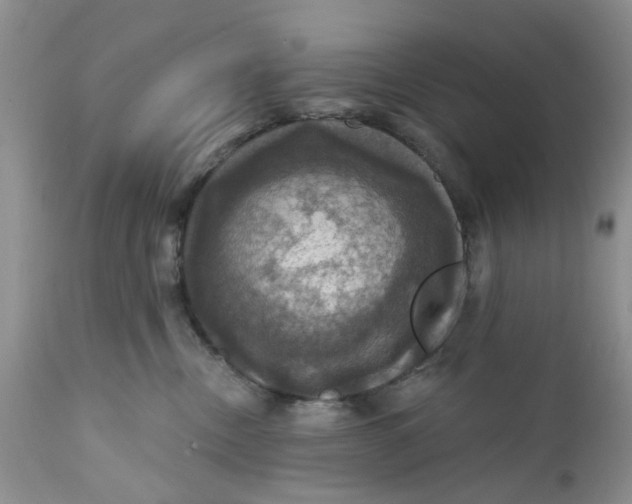 X0000112030378200908241544