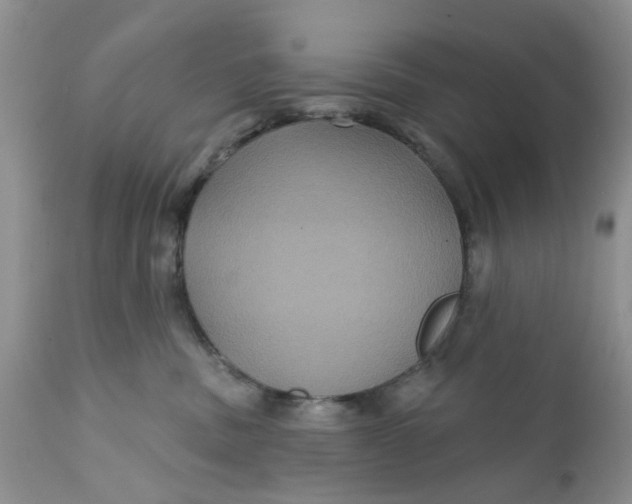 X0000112030379200908241544
