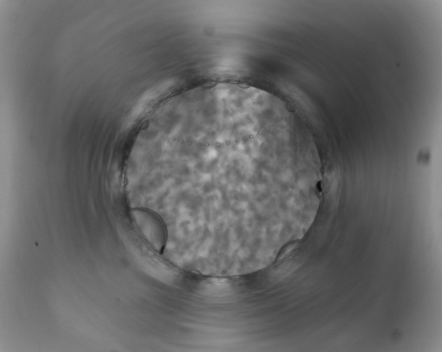 X0000112030381200908241544