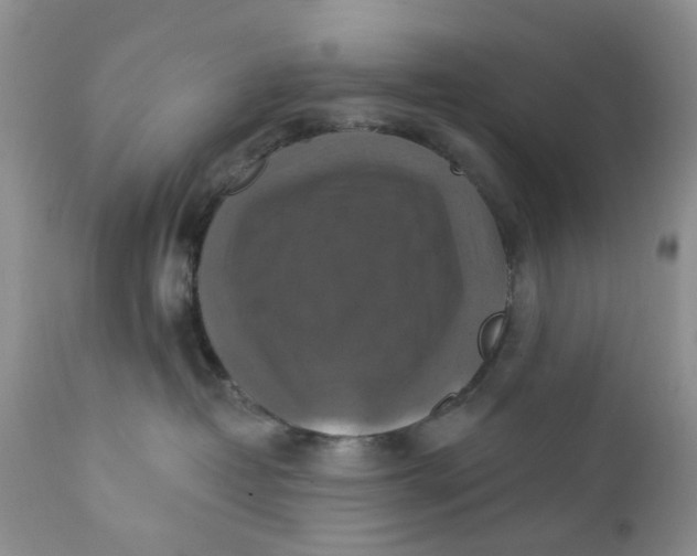 X0000112030382200908241544