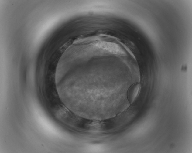 X0000112030383200908241544