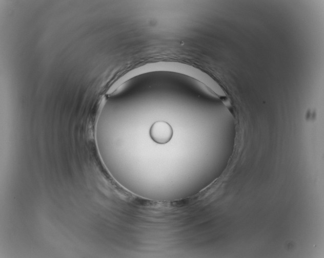 X0000112030384200908241544