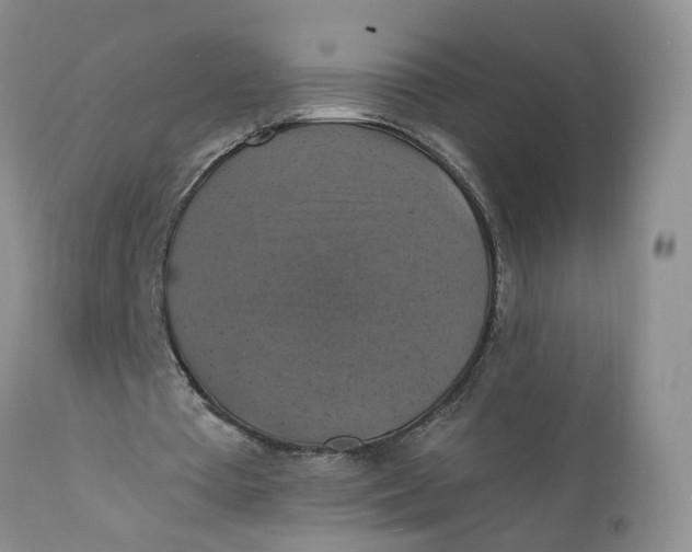 X0000112030385200908241543
