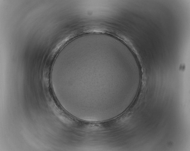 X0000112030386200908241543
