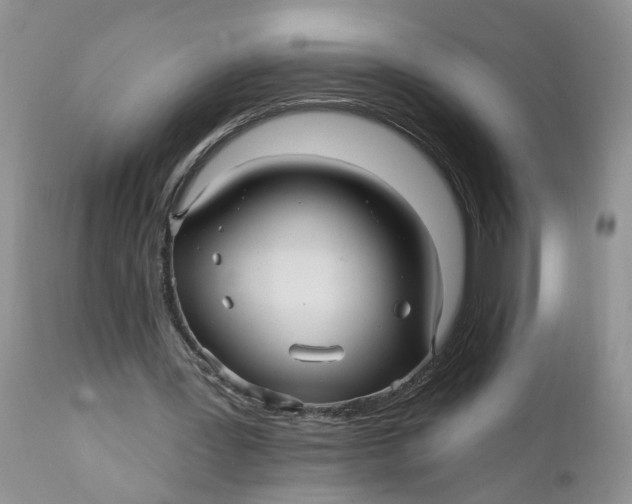 X0000112030387200908241543