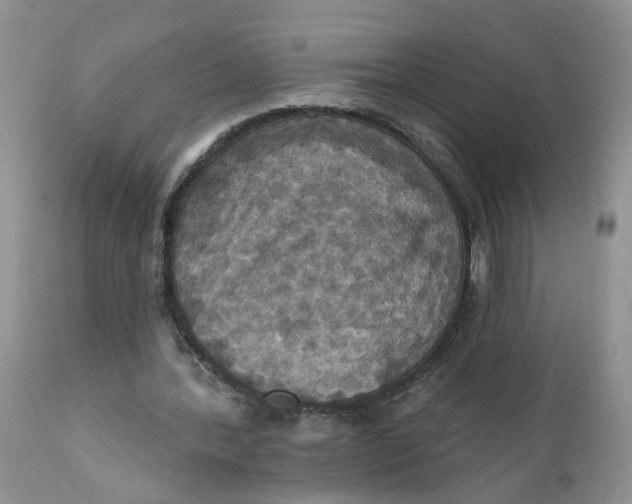 X0000112030388200908241543