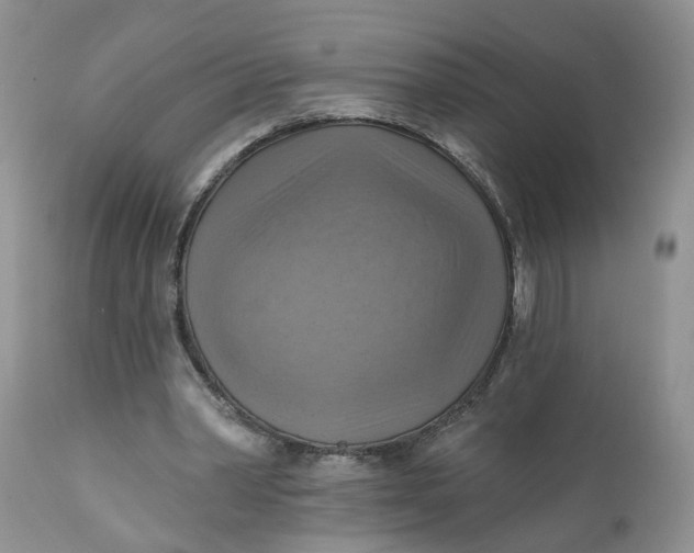 X0000112030390200908241543