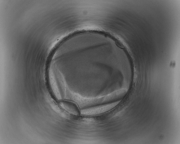 X0000112030391200908241543
