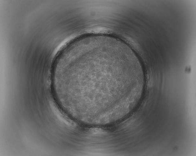 X0000112030392200908241543