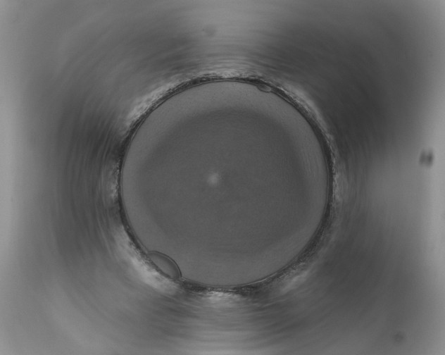 X0000112030393200908241543