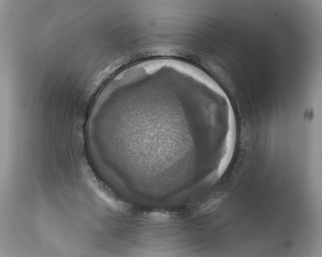 X0000112030394200908241543