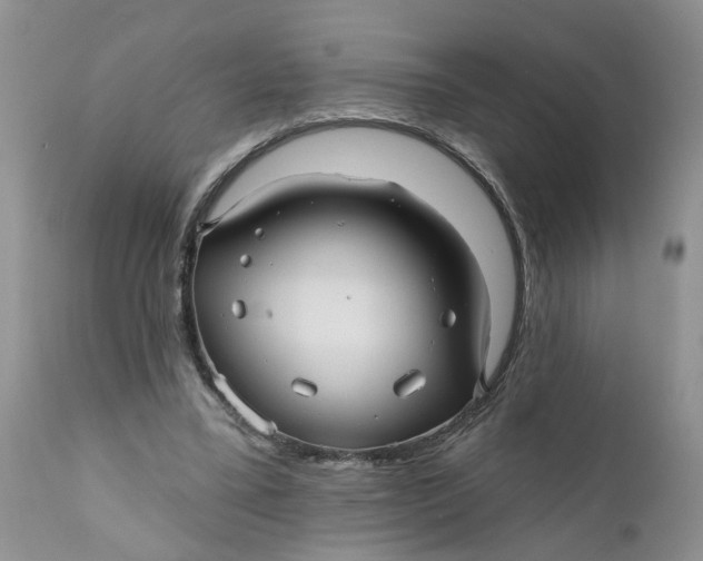 X0000112030395200908241543