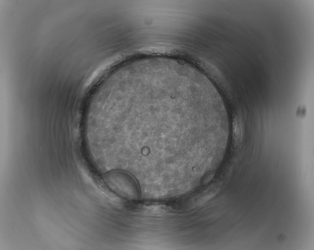 X0000112030396200908241543