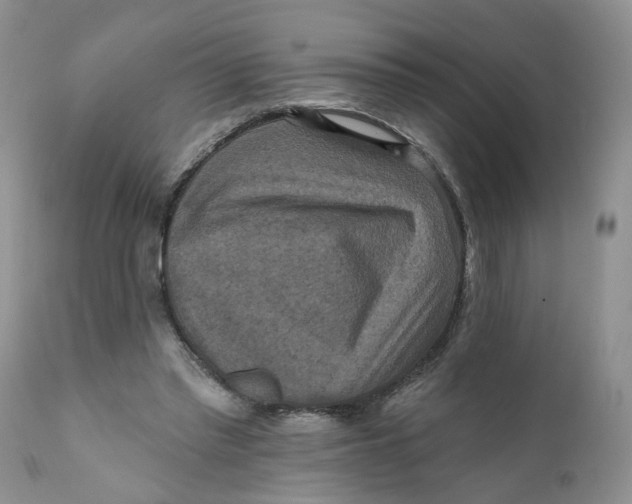 X0000112030397200908241543