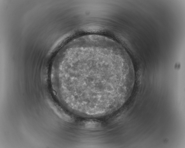 X0000112030400200908241543