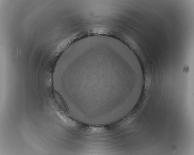 X0000112030401200908241543