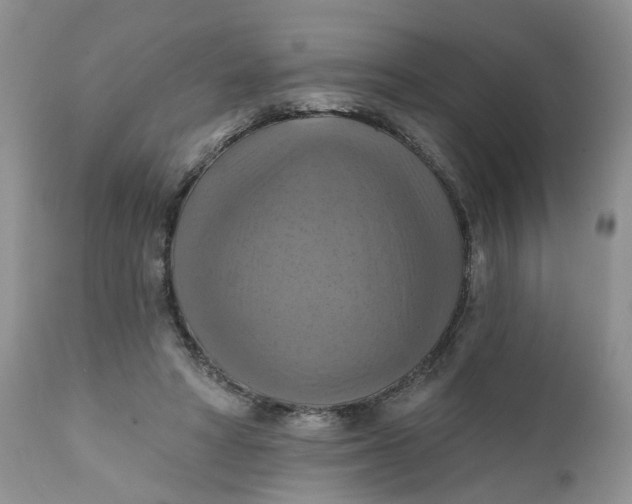 X0000112030402200908241543