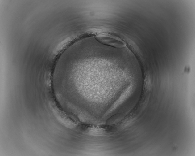 X0000112030403200908241543