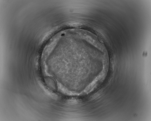 X0000112030404200908241543