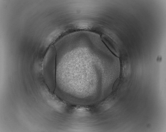 X0000112030407200908241543