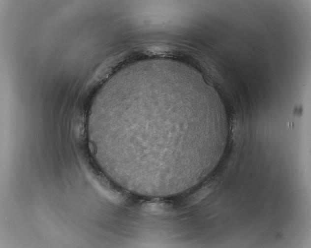 X0000112030408200908241543
