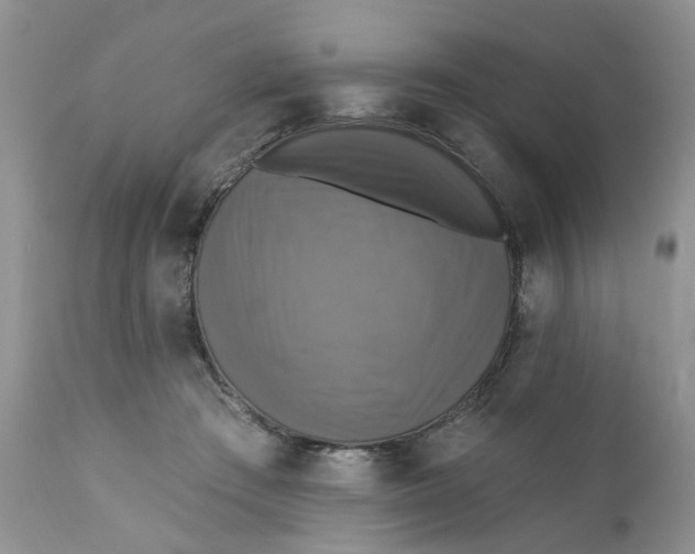 X0000112030409200908241543