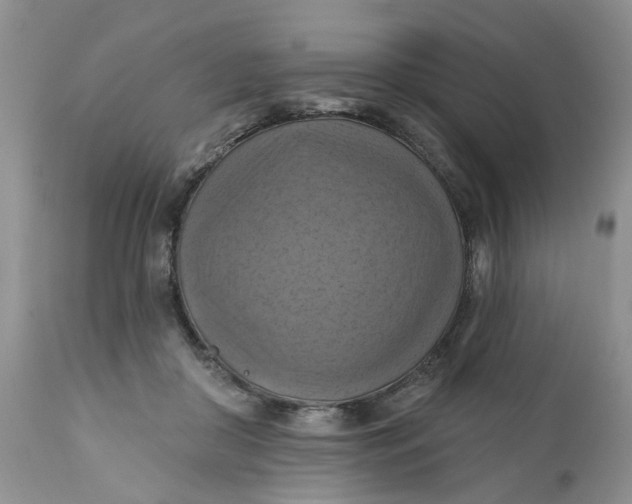 X0000112030410200908241543