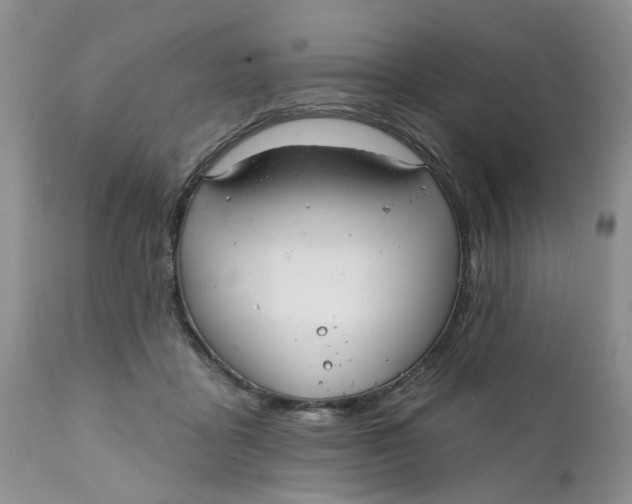 X0000112030411200908241543