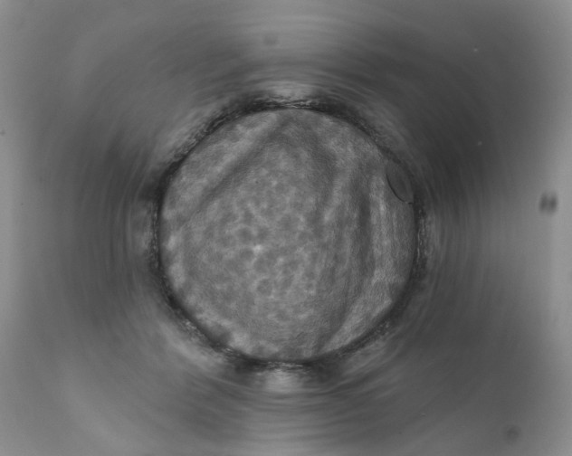 X0000112030412200908241543