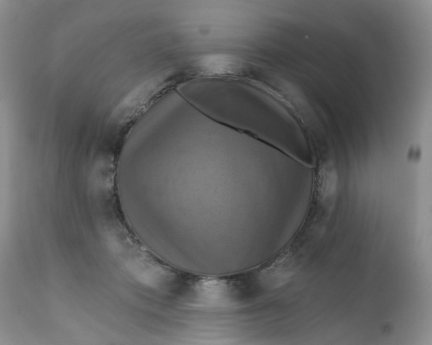 X0000112030413200908241543