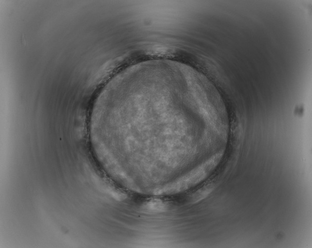 X0000112030416200908241543