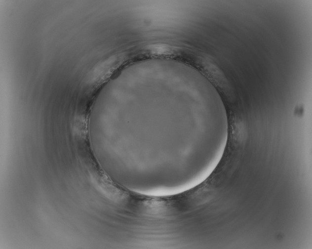 X0000112030419200908241543