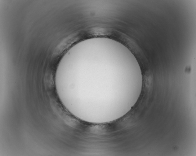 X0000112030422200908241543
