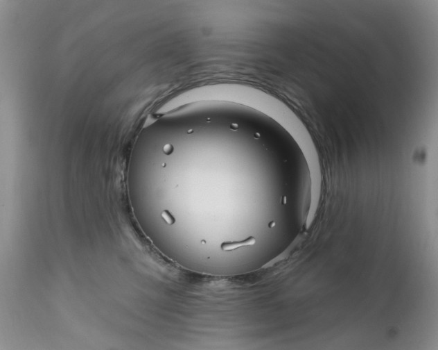 X0000112030423200908241543