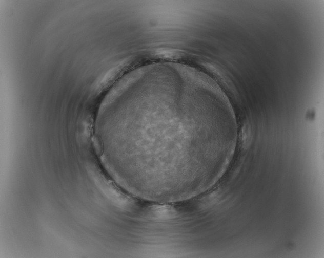 X0000112030424200908241543