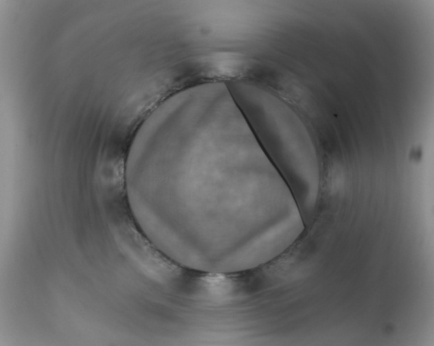 X0000112030425200908241543