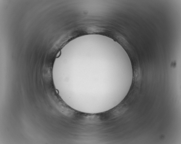 X0000112030426200908241543