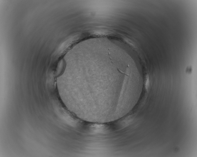 X0000112030428200908241543
