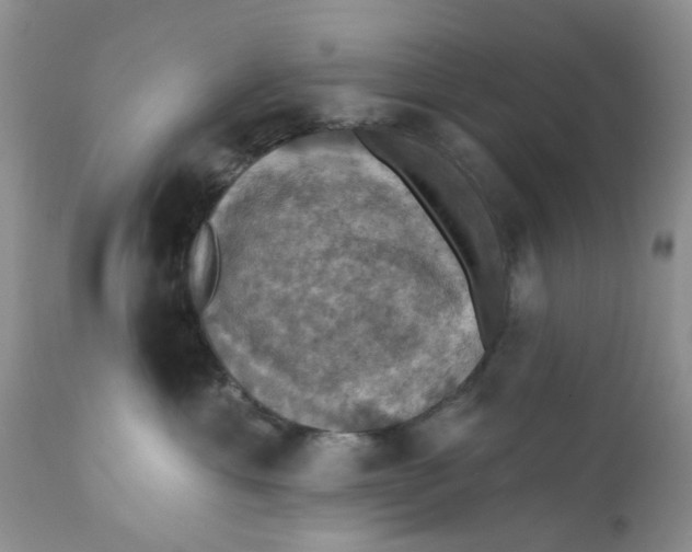 X0000112030429200908241543