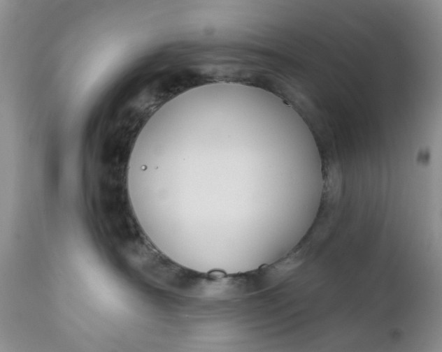 X0000112030430200908241543