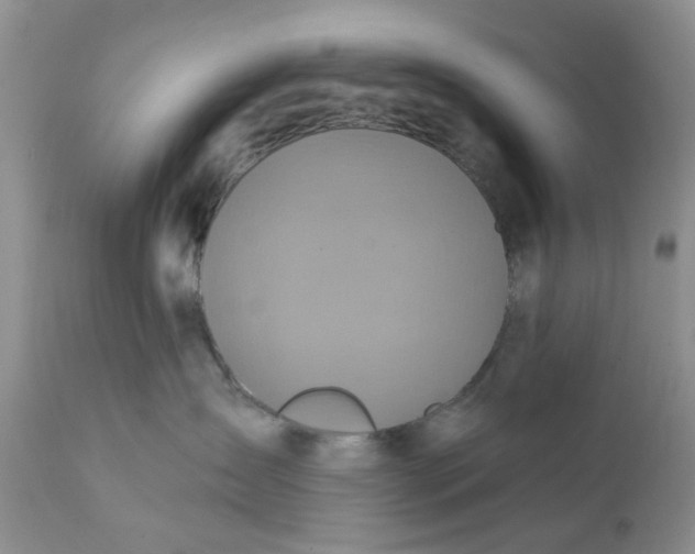 X0000112030431200908241543