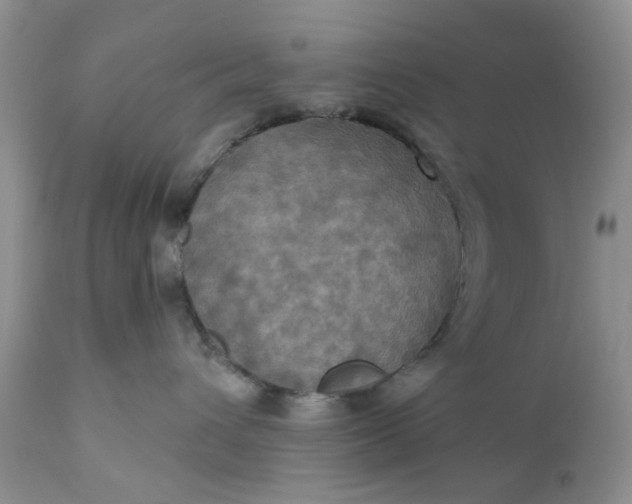 X0000112030432200908241543