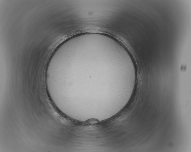 X0000112030433200908241542