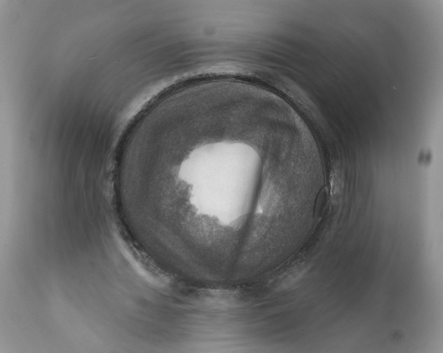 X0000112030436200908241542
