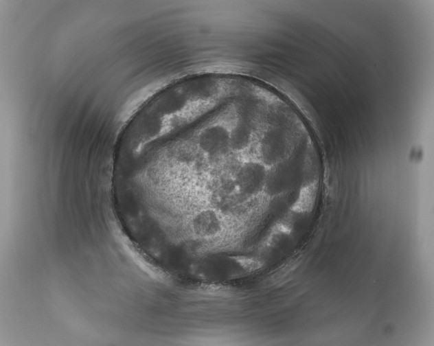 X0000112030437200908241542